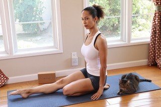 Noko and Ginger on yoga mat